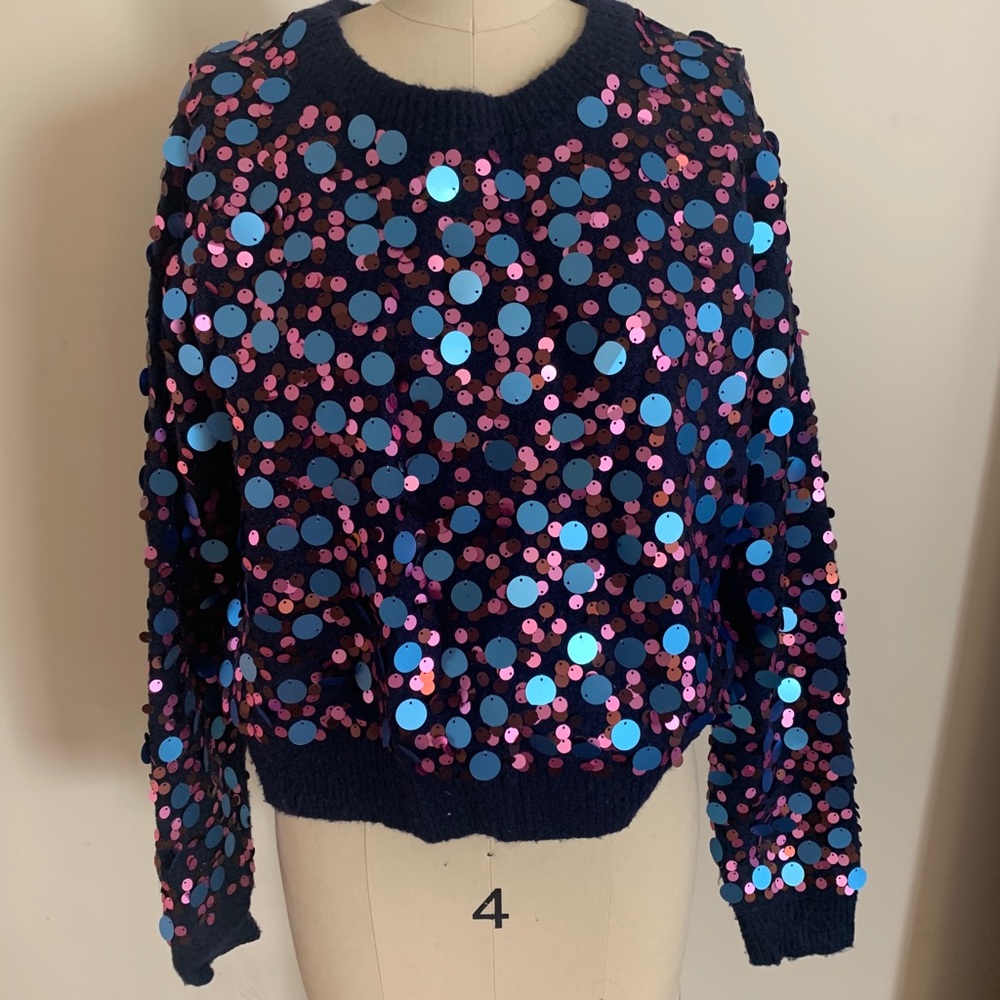 Zara sequin sweater